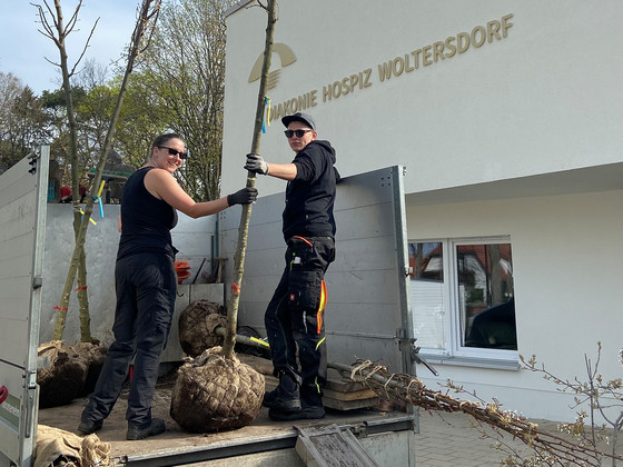 Zwei Mitarbeitende mit neuen Bäumen, Nachrichten, Diakonie Hospiz Woltersdorf Zwei Mitarbeitende mit neuen Bäumen, Nachrichten, Diakonie Hospiz Woltersdorf