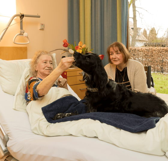 Patientin mit Therapiehund im Zimmer, Diakonie Hospiz Volksdorf