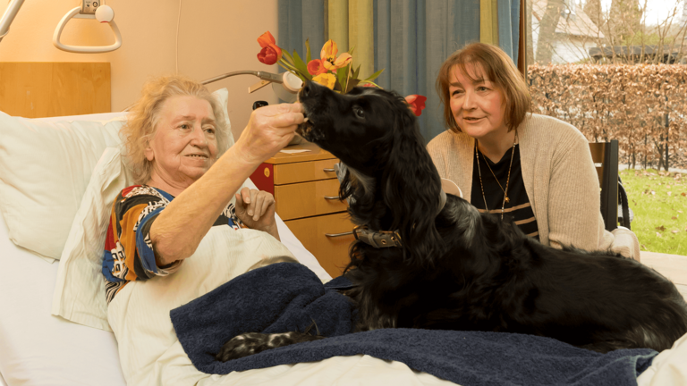 Patientin mit Therapiehund im Zimmer, Diakonie Hospiz Volksdorf